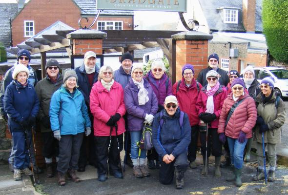 Nov 2024 walk